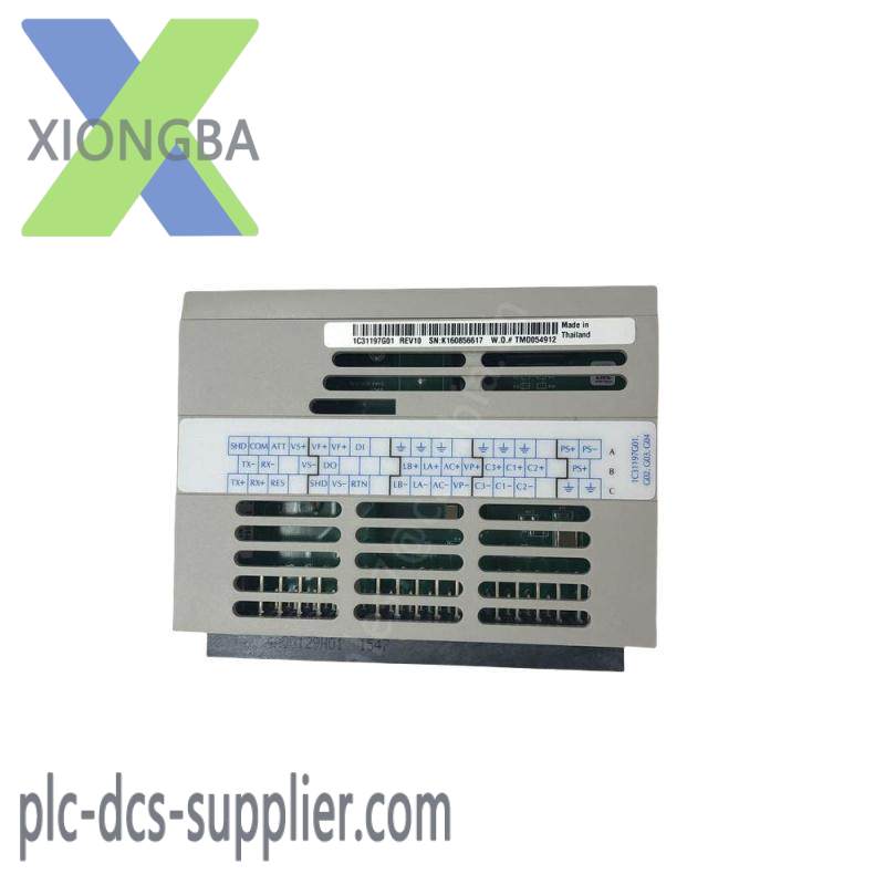 Emerson IC200TBX020