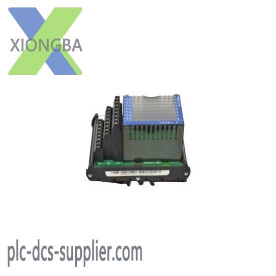 Foxboro Invensys FBM206 P0916JQ Terminal Assembly