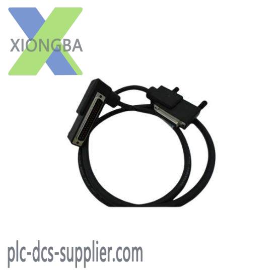 Foxboro RH916DB  Termination Cable