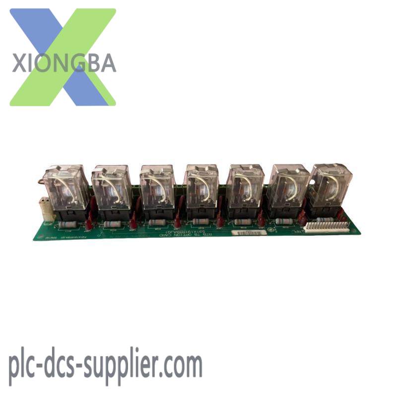 GE 531X191RTBAJG1 Option Card