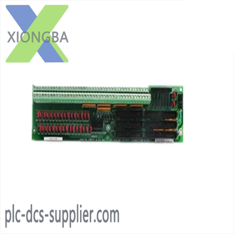 GE DS200TCQAG1ADC Analog Input Module