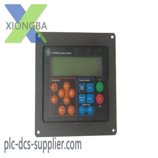GE Fanuc DS2020PDMAG6