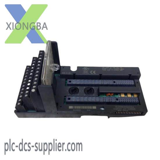 GE FANUC IC200CHS022