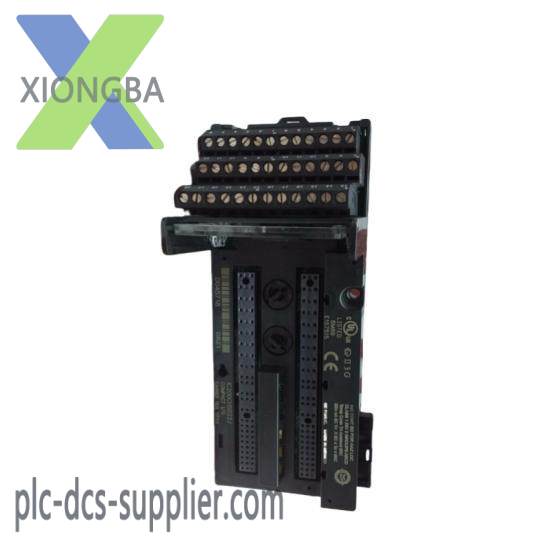 GE FANUC IC200CHS022 Controllers