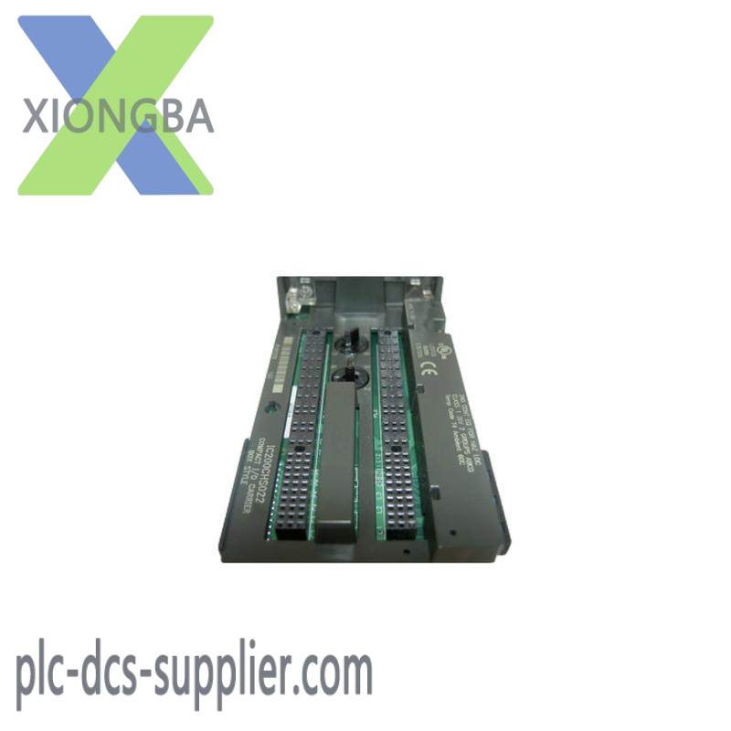 GE IC200CHS022 carrier module