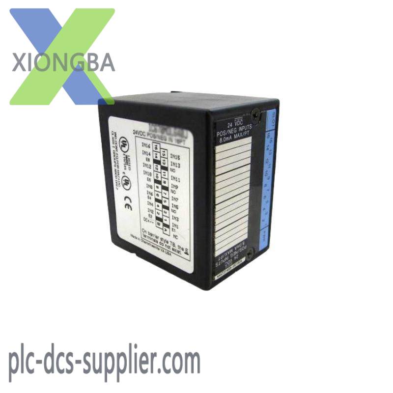 GE IC670ALG310