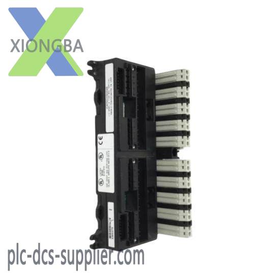 GE IC670CHS002