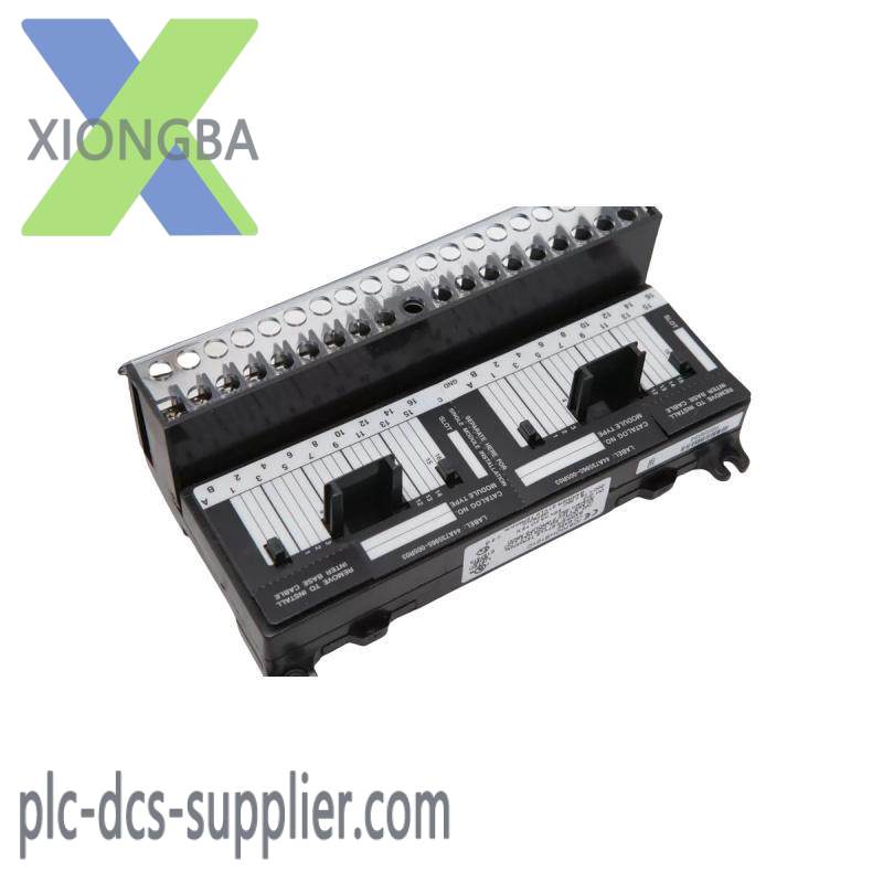 GE IC670CHS101