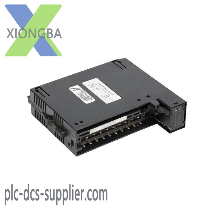 GE IC693MDL241 Positive/Negative Input module