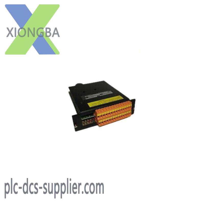 INFRANOR GMBH MSM0606 Servo Amp