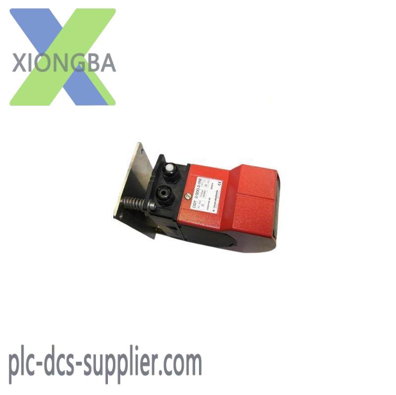 LEUZE DDLS 50125768