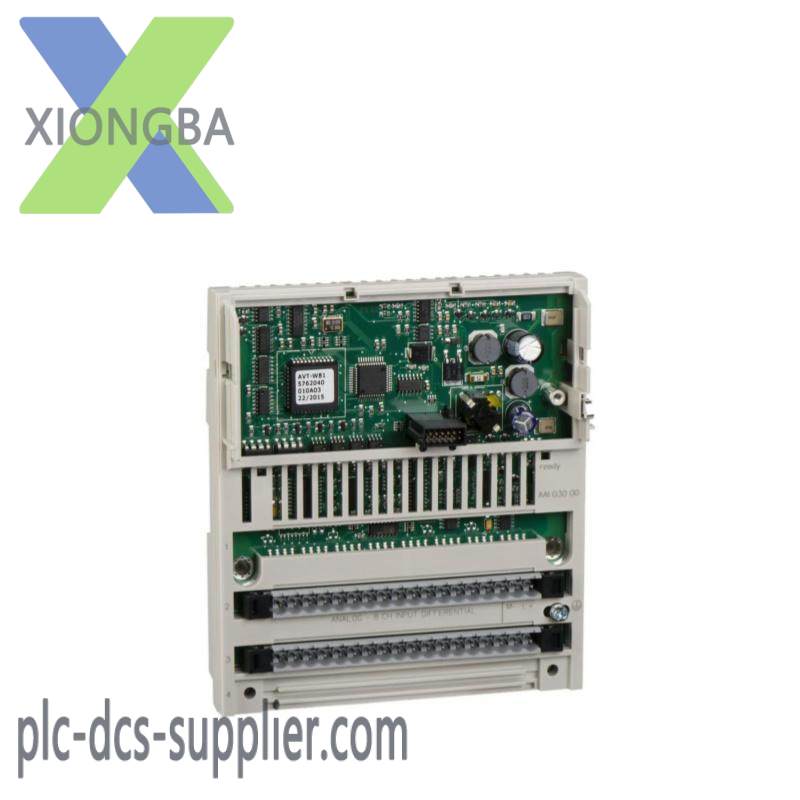 Schneider 170AAI14000 Analog Input Module