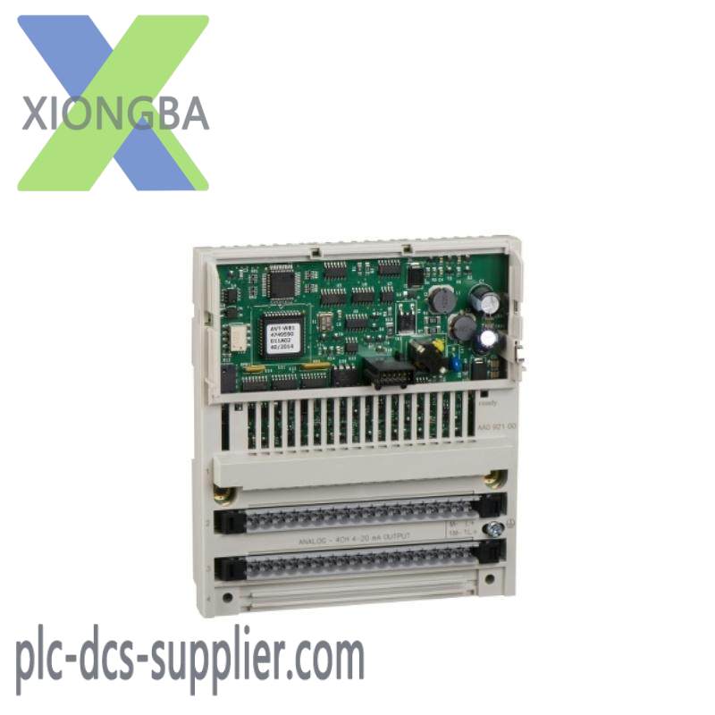 Schneider 170AAO92100 Analog Output