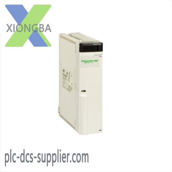 SCHNEIDER AS-BDAP-218