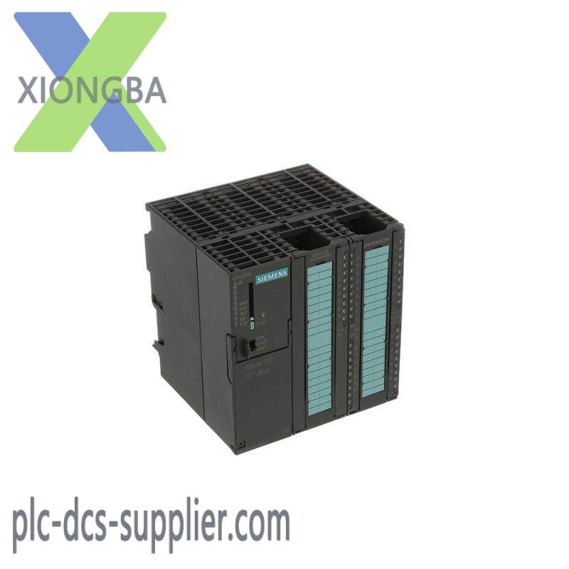 SIEMENS 6ES7313-5BG04-0AB0 DIGITAL OUTPUTS