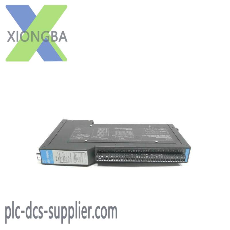 Square D SY/MAX 8030-RIM125 Analog Input
