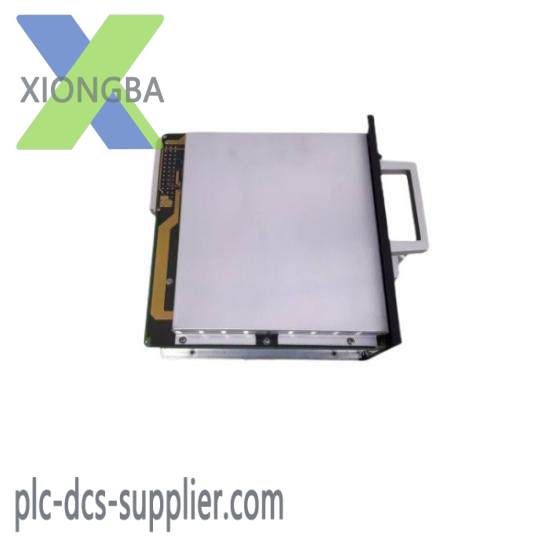 TEAM BL0308 PC0014-P