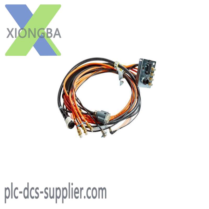 TRICONEX 2481