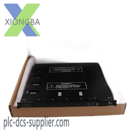 TRICONEX MP6004