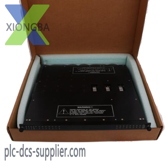 TRICONEX MP6004