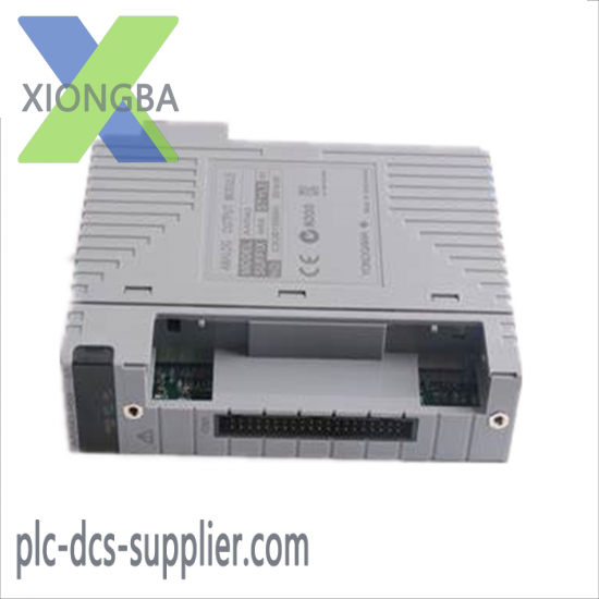 YOKOGAWA AAI543-H53 S1 Analog Input/Output Module