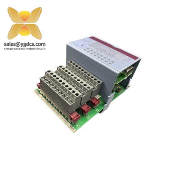B&R 2DS100.60-1