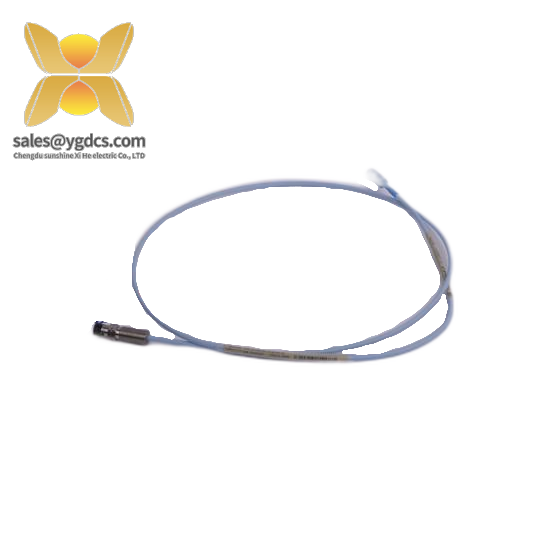 Bently Nevada 300103-A00-B09-C10-D02-E0