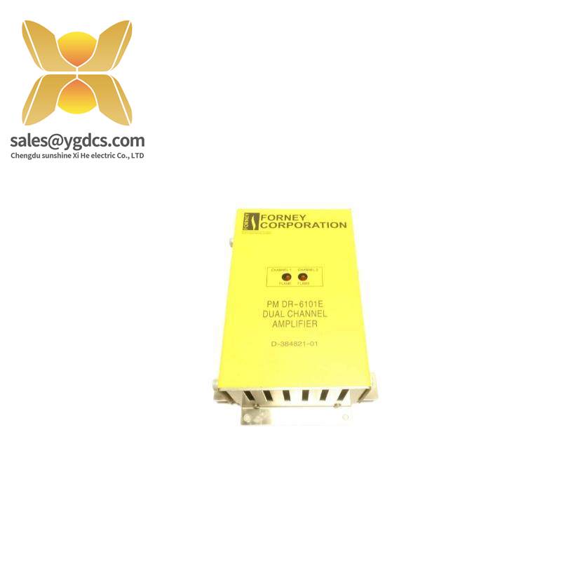 FORNEY RM DR6101E Dual Range Flame Amplifier