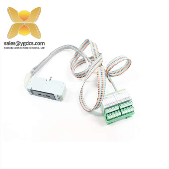FOXBORO P0500SR Termination Cable Assembly