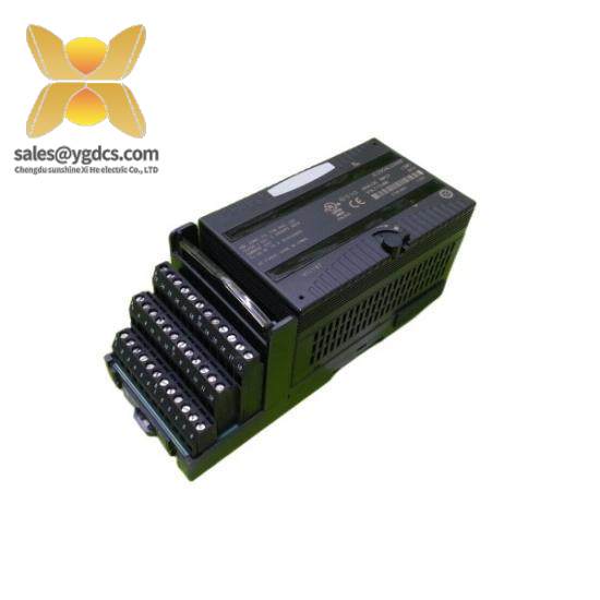 GE Fanuc IC200ALG266F input module