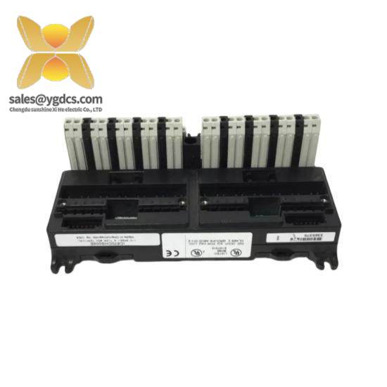 GE FANUC IC670CHS002