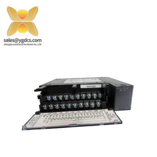 GE Fanuc IC693MOL645  PAC Systems RX3i