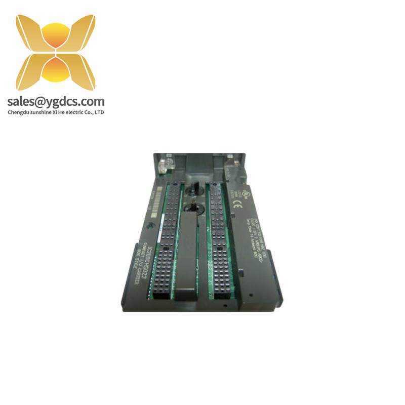 GE IC200CHS022 carrier module