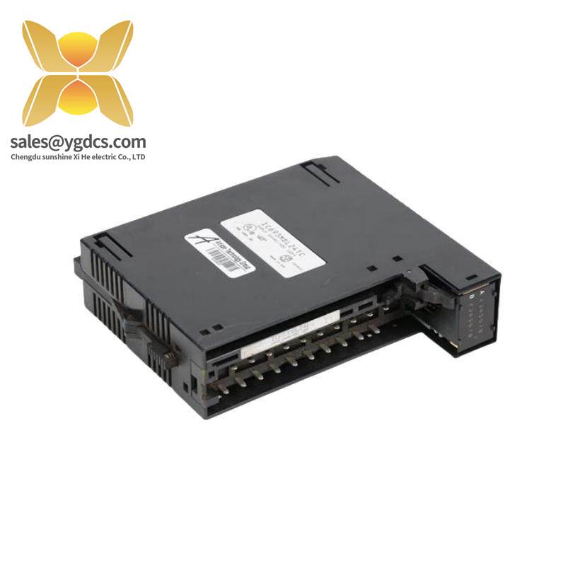 GE IC693MDL241 Positive/Negative Input module