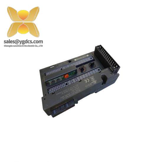 General Electric IC200CHS003 I/O Modules