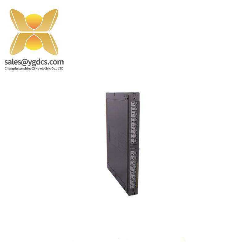 ICS TRIPLEX T8451 Module