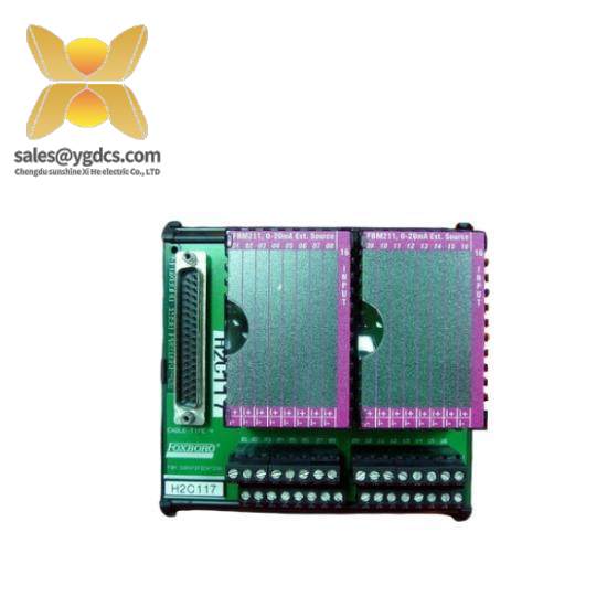 P0916JT  I/A Series Module  Foxboro