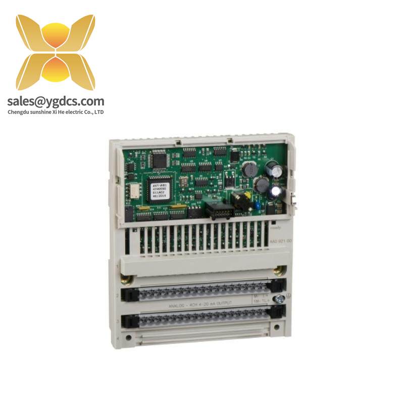 Schneider 170AAO92100 Analog Output