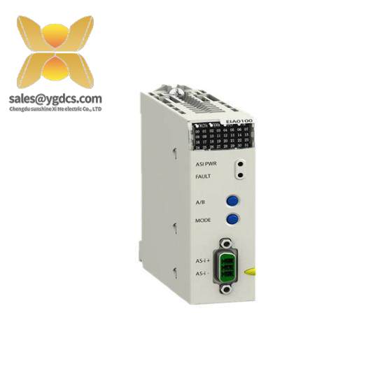 Schneider BMXEIA0100 master module