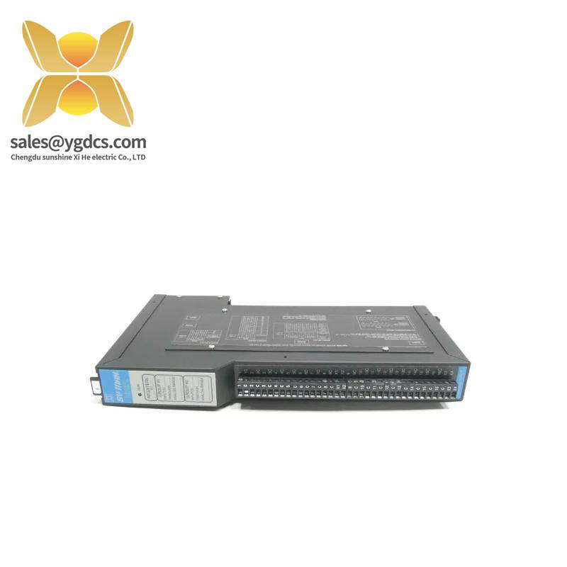 Square D SY/MAX 8030-RIM125 Analog Input