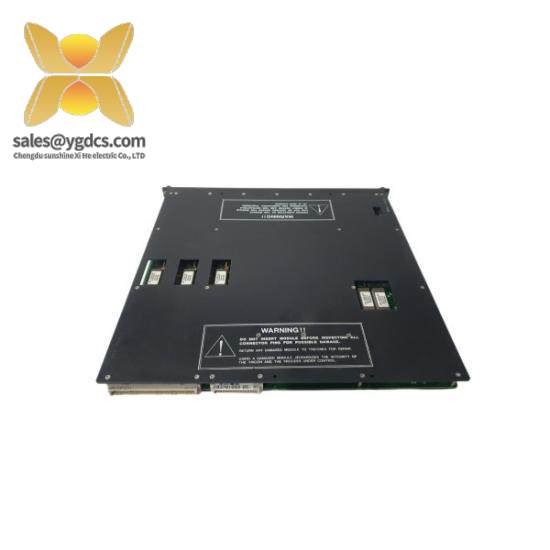 Triconex 4119 Enhanced Intelligent Module