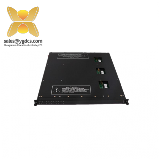TRICONEX 9561-810