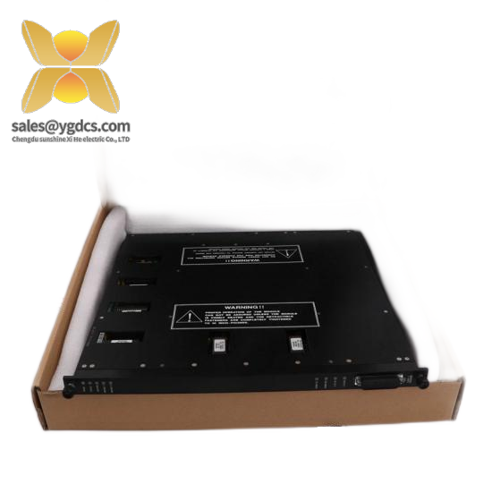 TRICONEX MP6004
