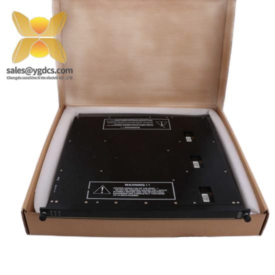 Triconex Termination Panel for 2755 7400061-600