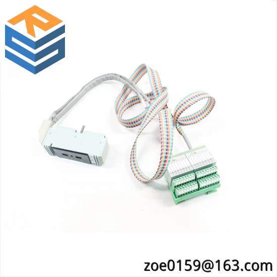 FOXBORO P0500SR Termination Cable Assembly