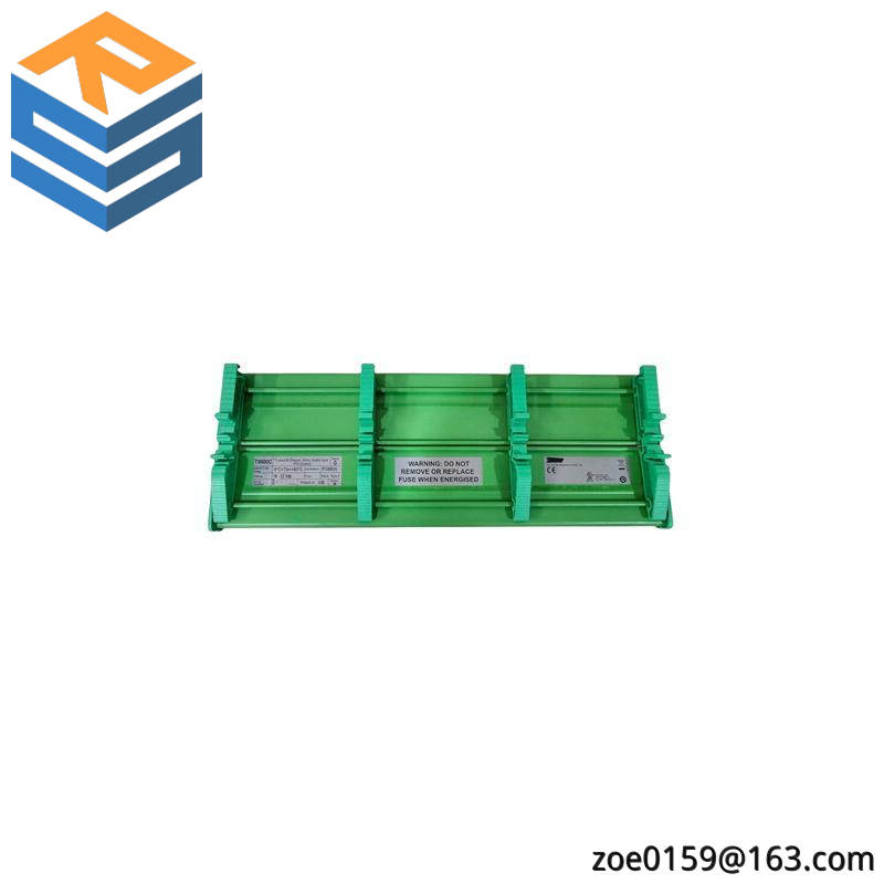 ICS Triplex T8800C Digital Input FTA