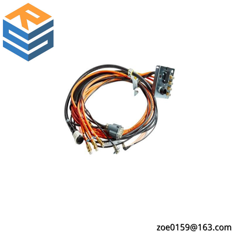 TRICONEX 2481