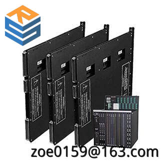 TRICONEX 4000029-010