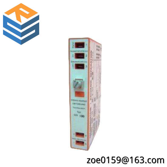 VIBRO-METER VM600-CSA 204-040-100-211