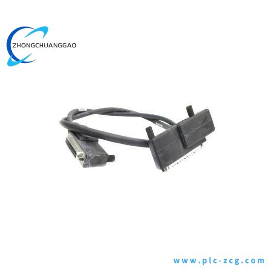 Foxboro P0916VL Termination Cable